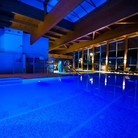 Wellness &